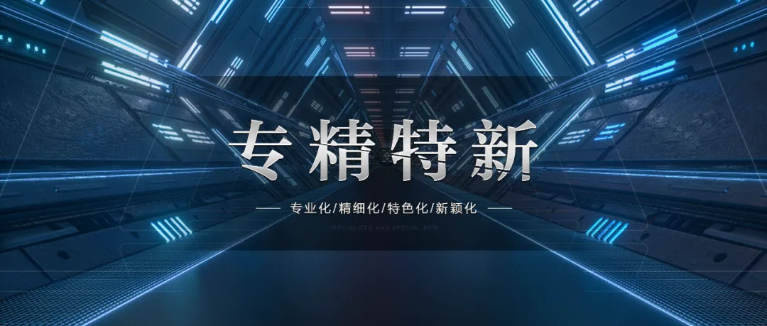上海龍勝獲“專精特新”企業稱號